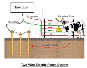 Electric Fence - Working, Types, Protection and Installation