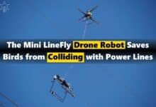 Mini LineFly Drone Prevents Bird Collisions with Power Lines