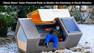 Ulmer Nests - Solar-Powered Pods to Shelter the Homeless in Harsh Weather